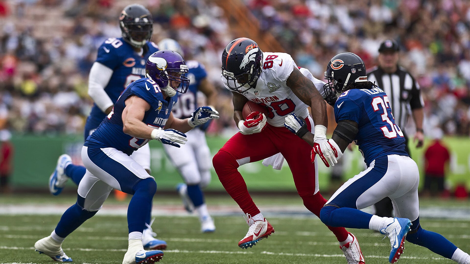 南非羚羊队：每一次反击都令人惊叹，速度与力量的完美结合，非洲羚羊种类大全